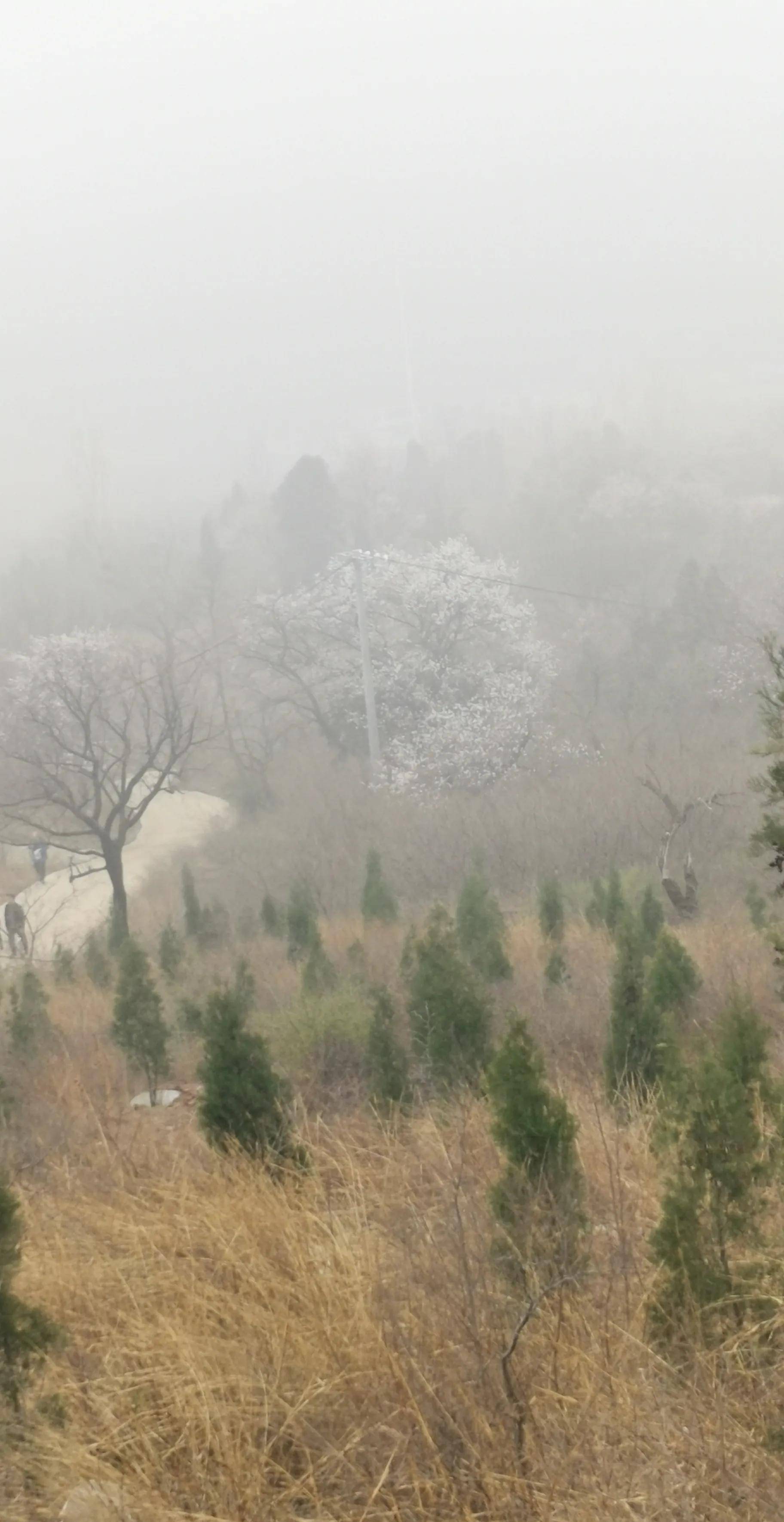 郑州杏花村风景区图片