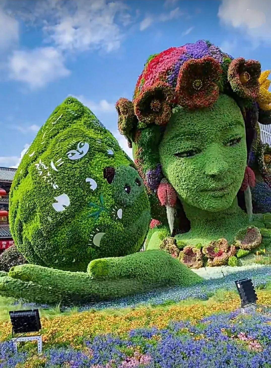 如果鲜花有故乡,那一定是在云南_昆明_花海中_紫色