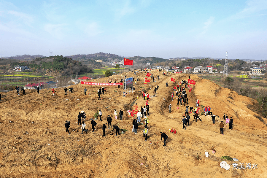付宇等浠水县领导参加义务植树活动_油茶_全县_劳动
