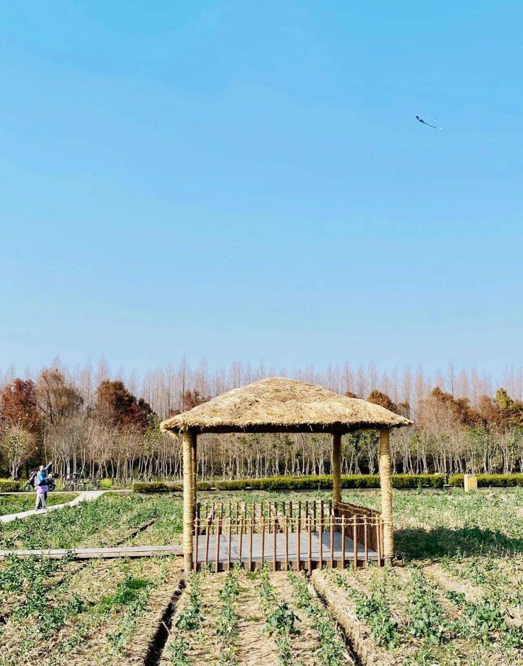 花米庄行(奉贤庄行南桥塘历史文化风貌区)