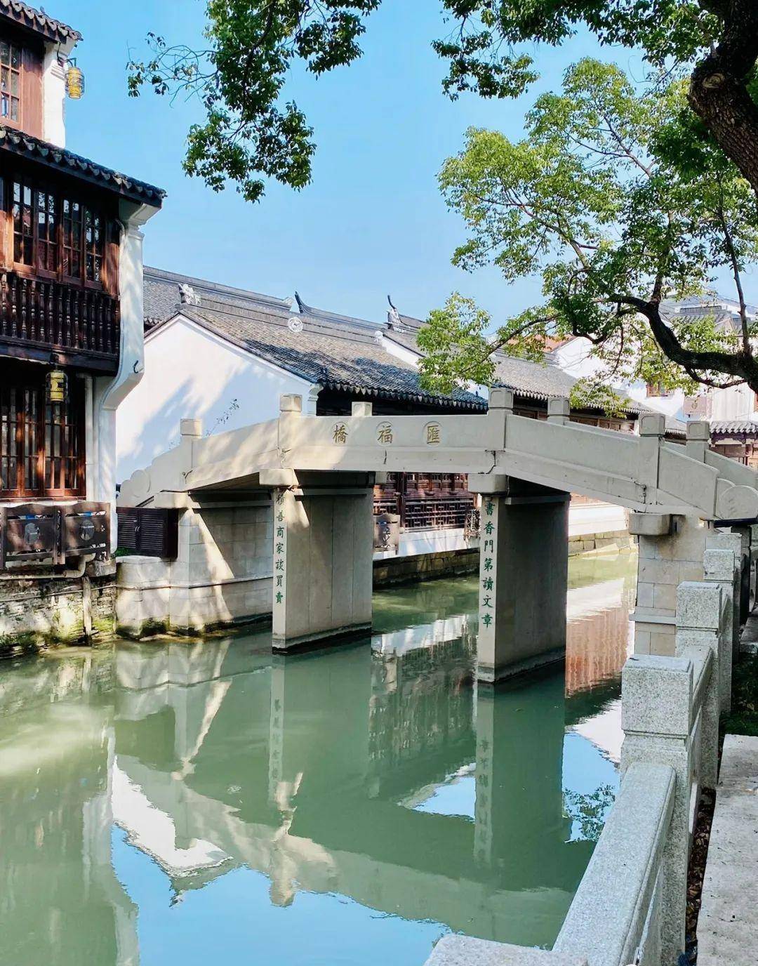 花米莊行(奉賢莊行南橋塘歷史文化風貌區)_花田_油菜花_老街