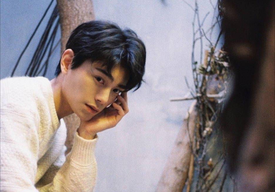 与赵露思相比,丁禹兮更适合张予曦吗?