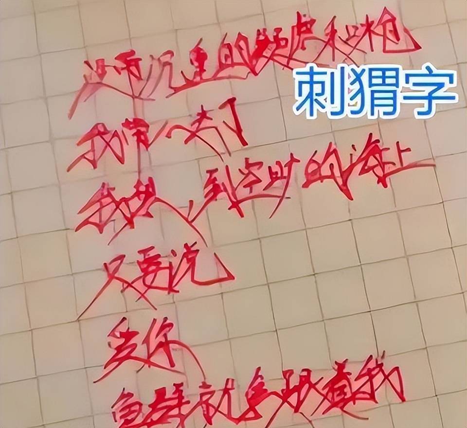 高中生饺子字体走红