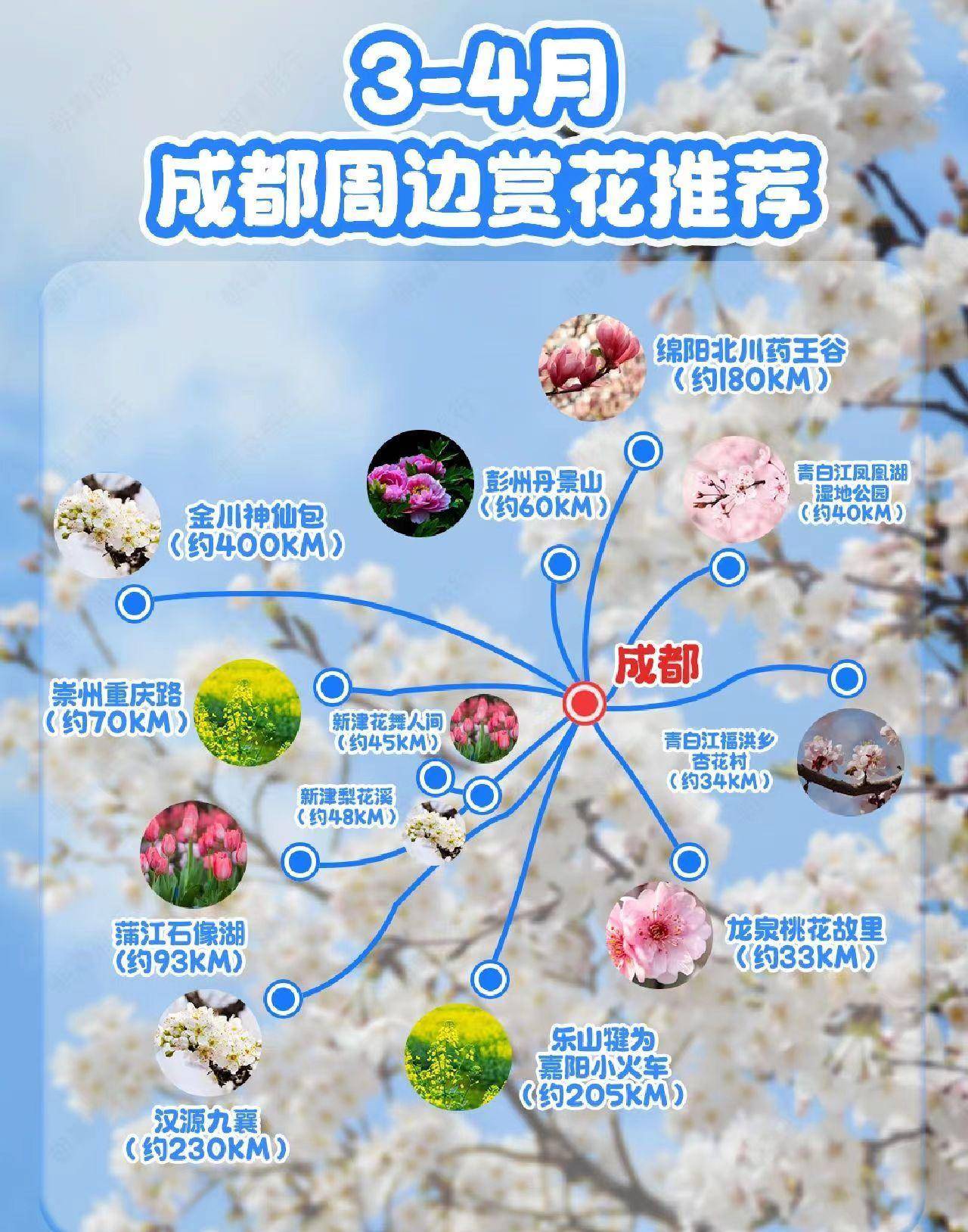 春季自驾游-成都赏花必去的6个免费地_导航_门票_景区
