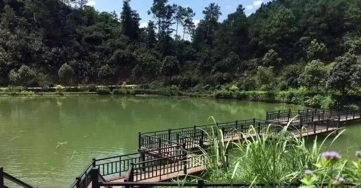广东韶关市翁源县值得游玩的旅游景点有哪些?自驾游有什么攻略?