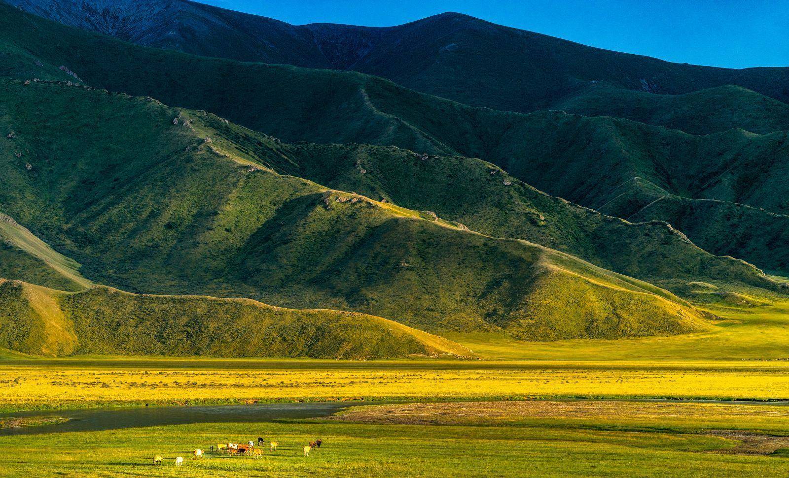呼市武川县:遗落草原的"帝王之乡" 绝佳视角看风吹草低见牛羊_高山_历