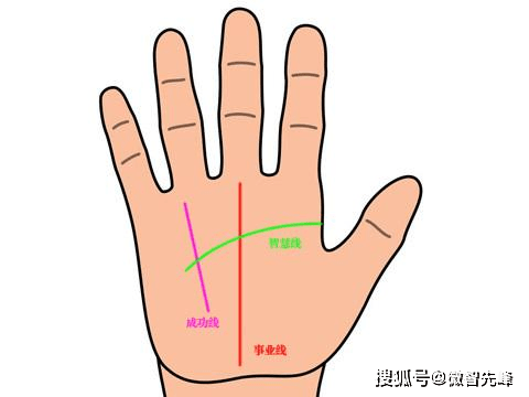 无名指下面小竖线图解图片