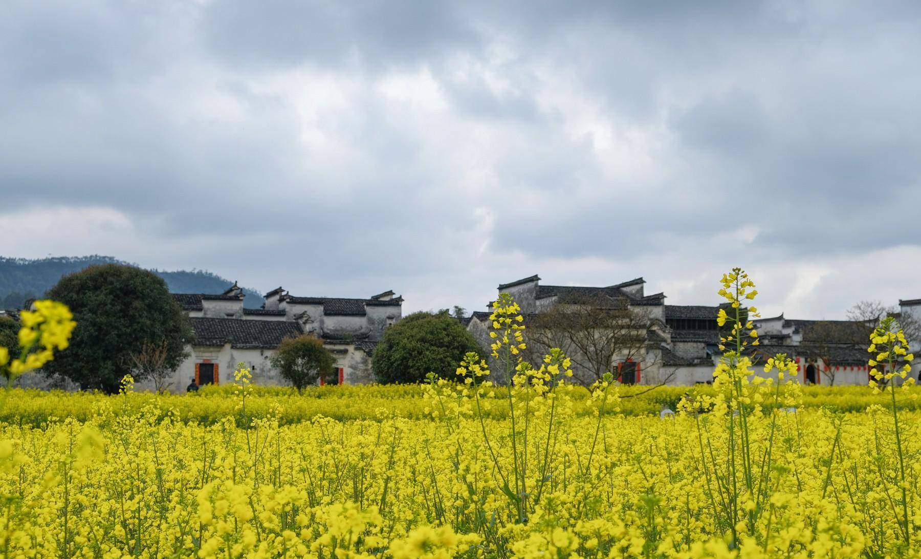 安徽黟县:千年古县,漫居古城,画里乡村更美_宏村_桃源_清代