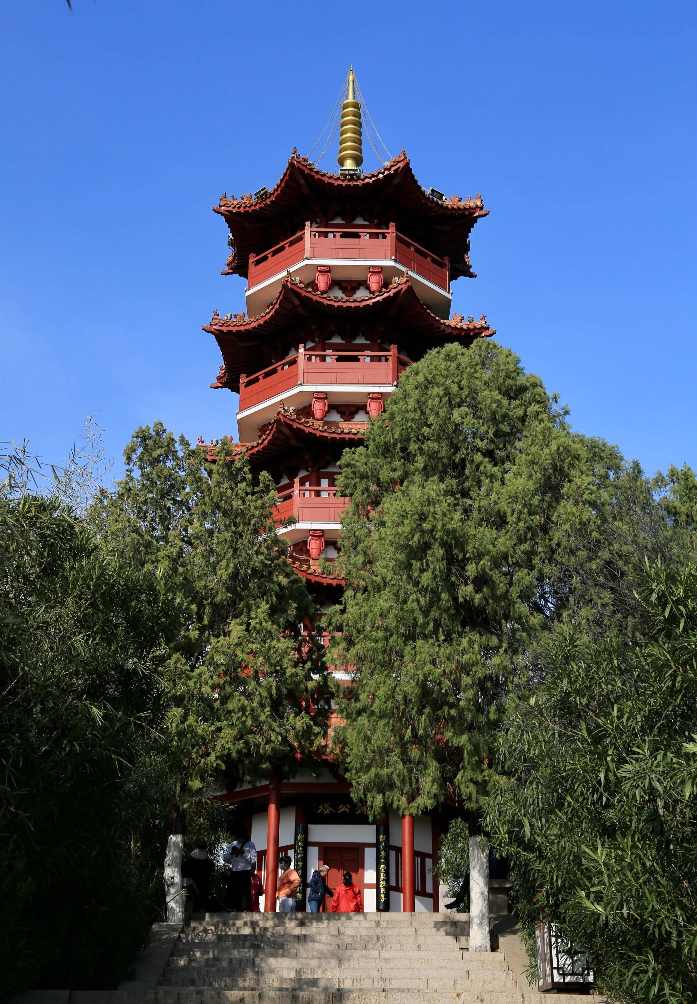 赏杏花盛开,感受徐州花红柳绿浓浓春意_苏公塔_广场_风景