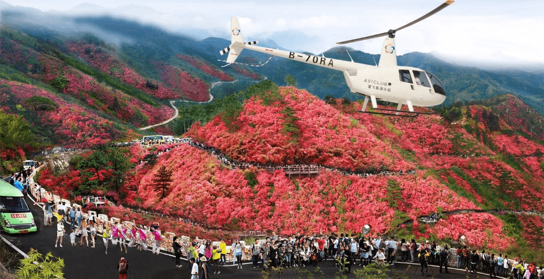 春暖花开·好运常来— 恺之峰牡丹好运旅游节_垫江_景区_牡丹花