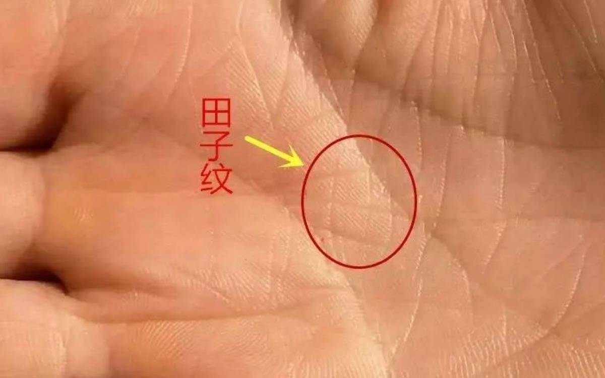 俗语中的手相:明堂三规,一生不穷,明堂三行是什么?_手掌_元宝_财运