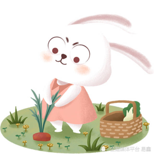 12生肖取名用字的一些忌讳!(兔)_搜狐网