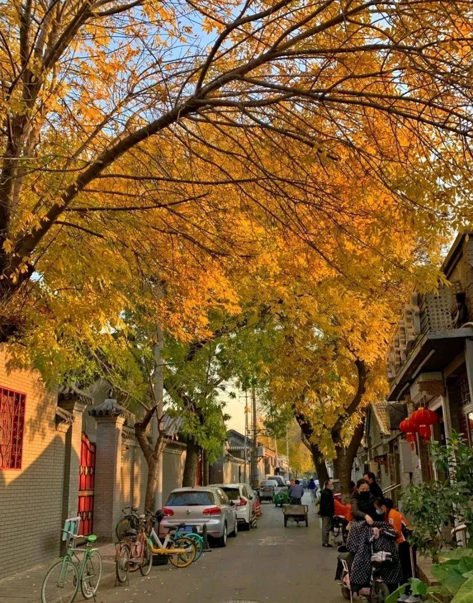 北鑼鼓巷曾經的花街柳巷,百順衚衕,胭脂衚衕,韓家衚衕,陝西巷,石頭