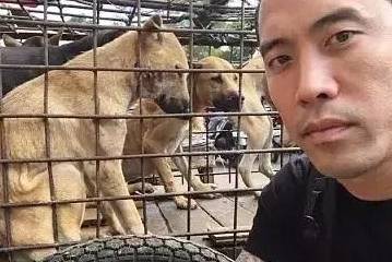 美国华裔专门跑来中国救狗，后被指出是个虐狗人士