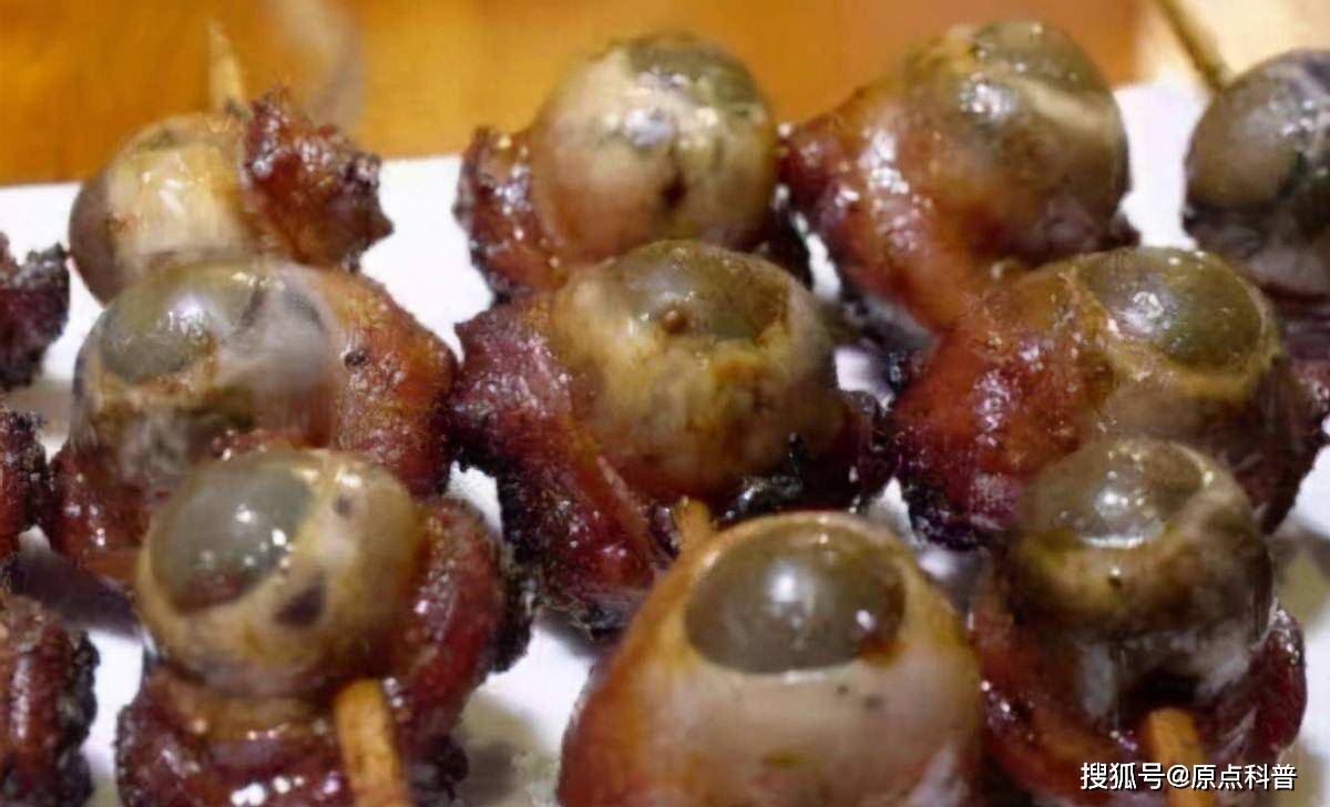 然而对广西百色人而言,这就是舌尖上的爆浆,好吃到六亲不认呢,猪真的