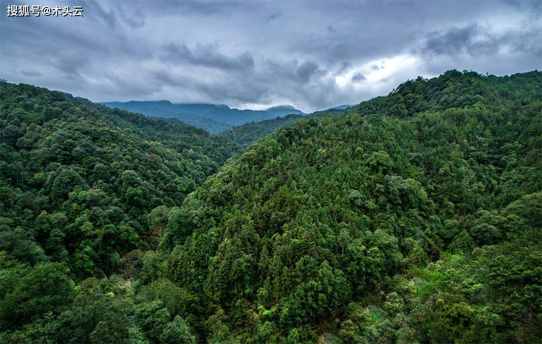 缅甸森林分布图图片