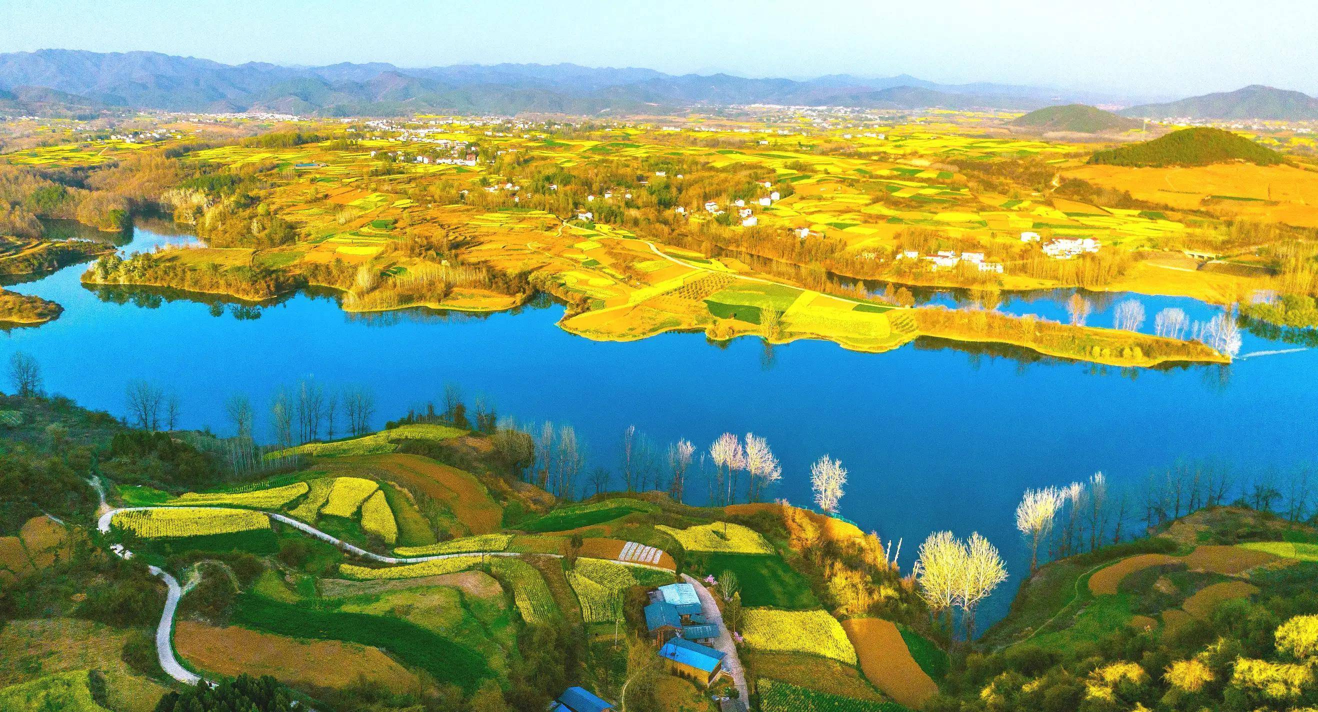 2023年汉中五大最美油菜花海推荐—三月春游攻略_种植_皇塘_陈村