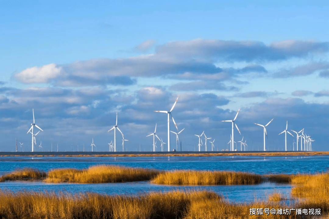 山东昌邑:多维度织就崭新画卷_产业_中小企业_生产