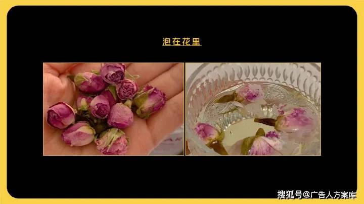 母亲节 鲜花（父亲节送什么花最好） 第16张