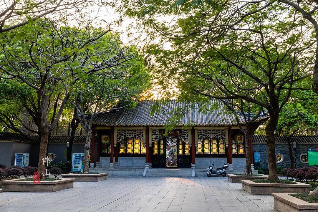 这个最大的免费景区,升级了很多网红打卡点_顺峰山公园_粤剧_大观园