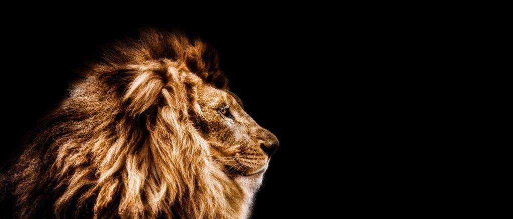 朋友狮子座认为他的爱人是邪恶的在你面前抱怨自己爱的人的朋友真的