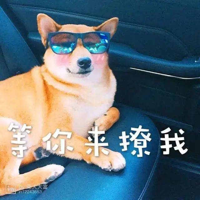 加拿大工签生孩子_加拿大签工生孩子有**吗_加拿大工签生孩子费用
