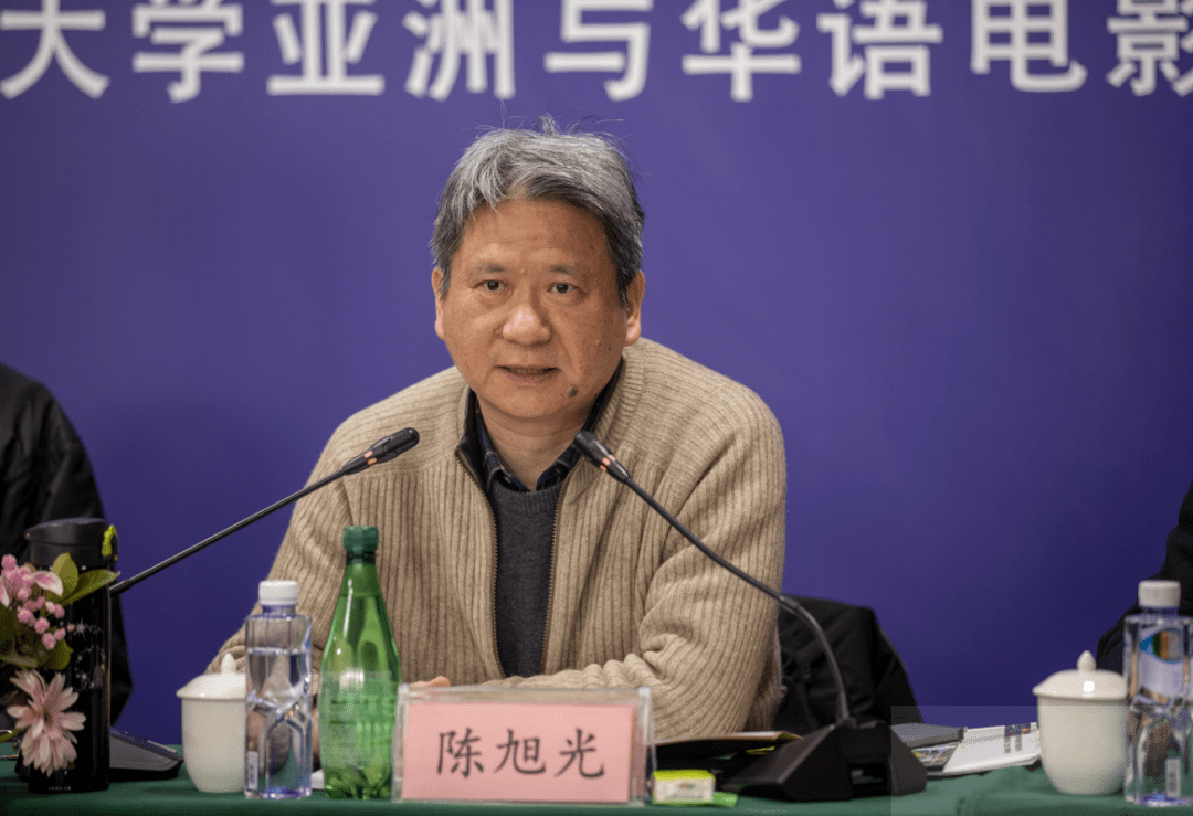 类专业教学指导委员会委员,北京大学影视戏剧研究中心主任陈旭光表示