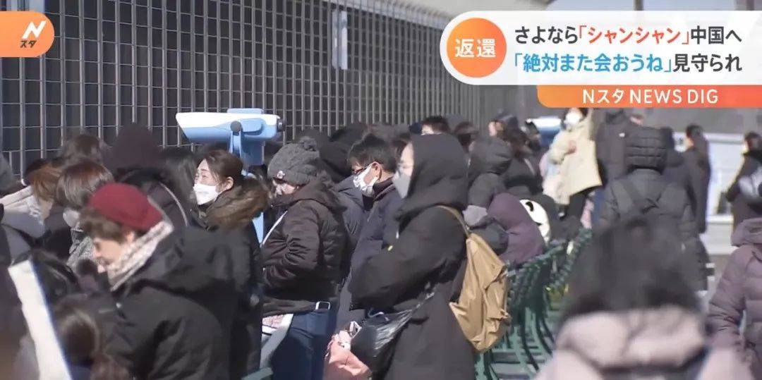 “香香”回国日本人含泪不舍，日本民众究竟有多爱大熊猫？