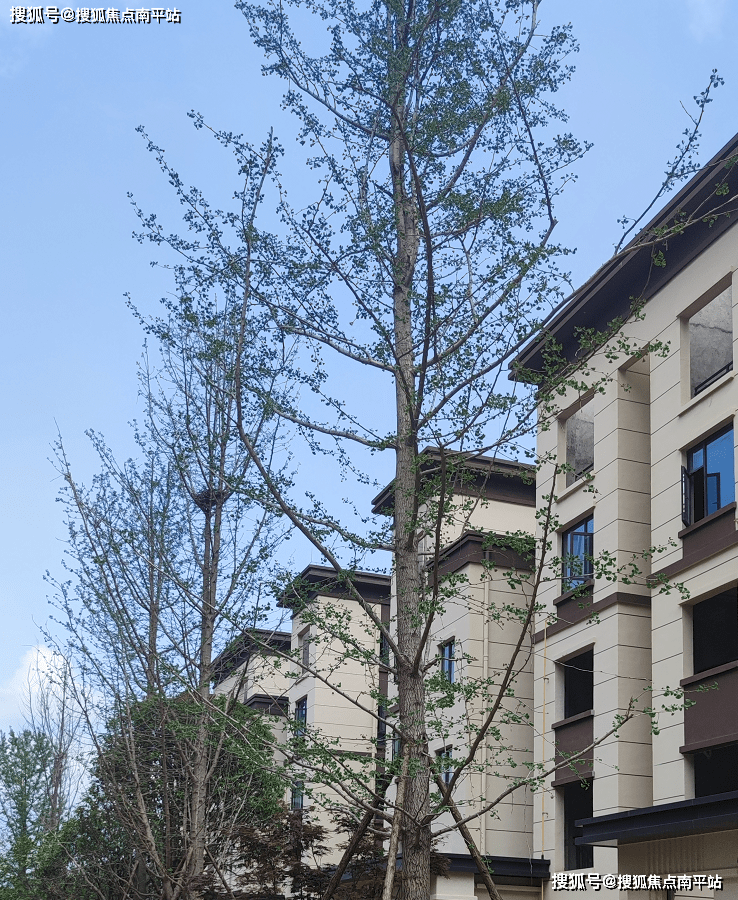 【置顶】2023|长沙-湾田望江府售楼处电话,价格,位置,详情咨询【置顶