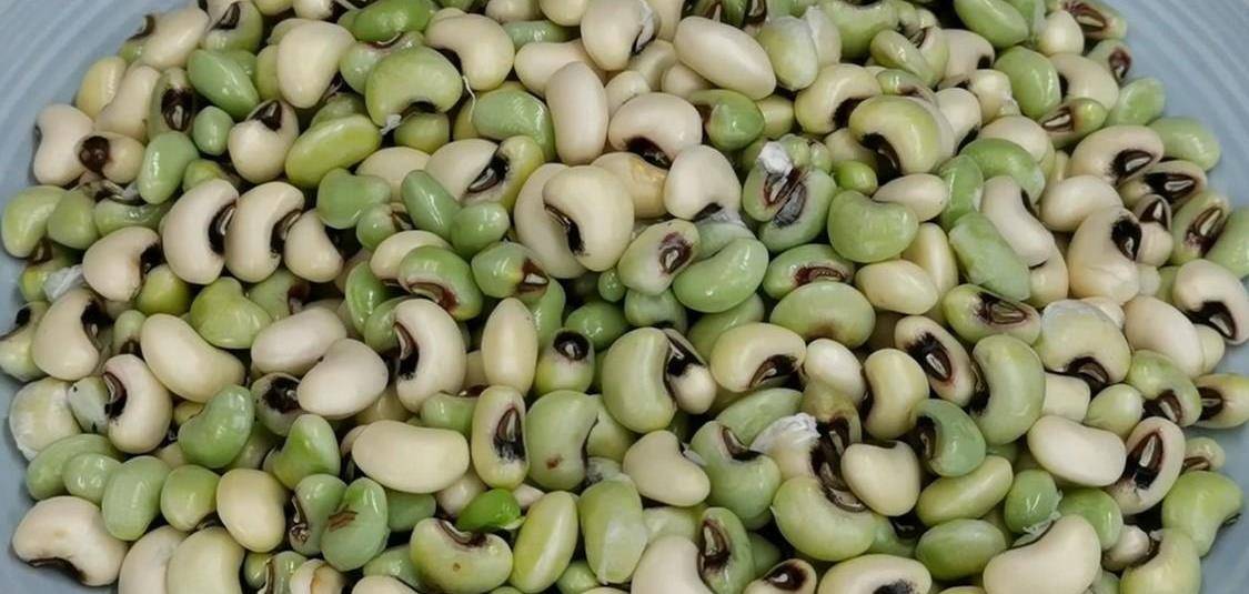 饭豆怎么煮烂得快?加多一个步骤,煮起来又快又好吃_豆子_美味_涩味