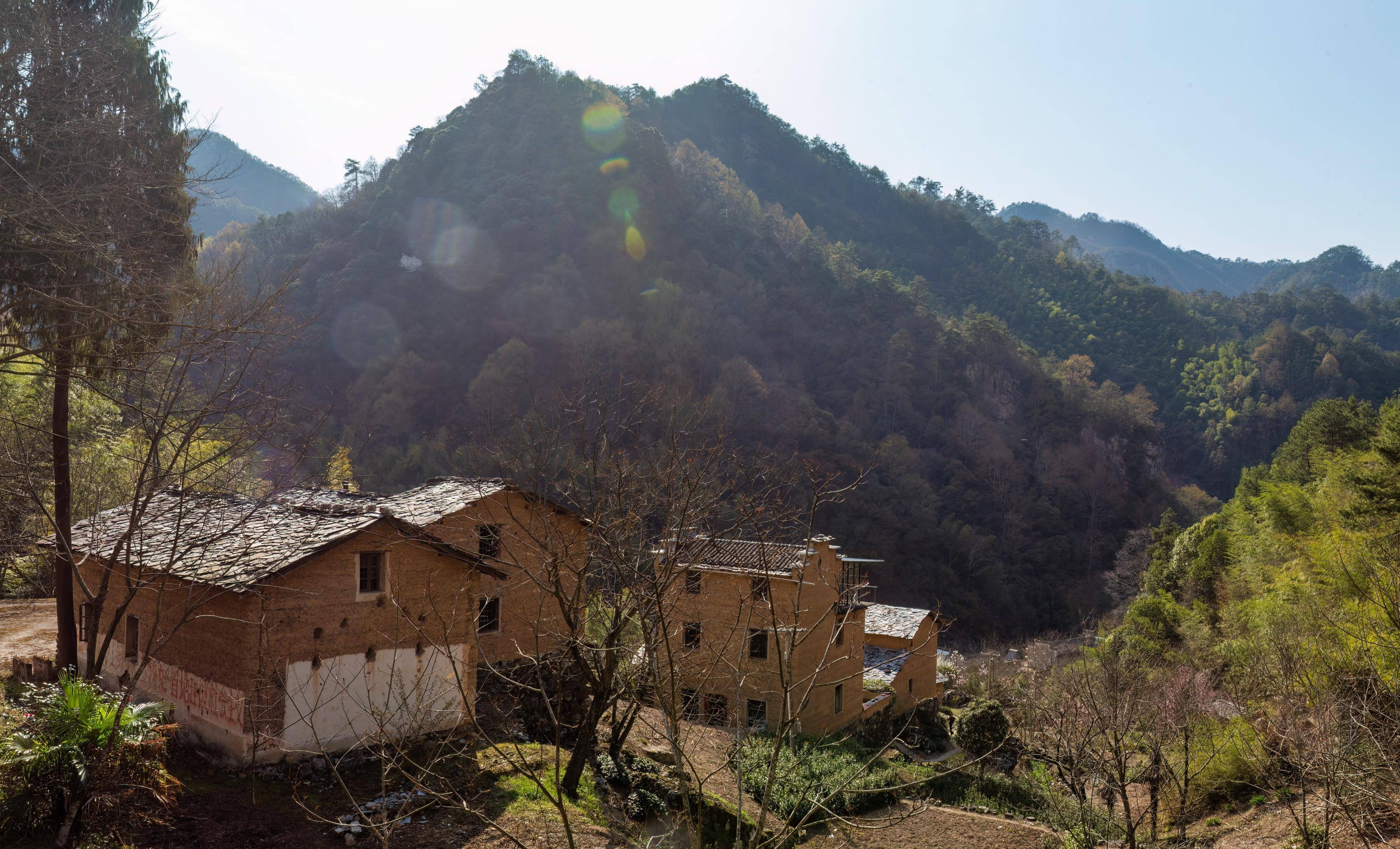 黄山区汤口镇山岔村图片