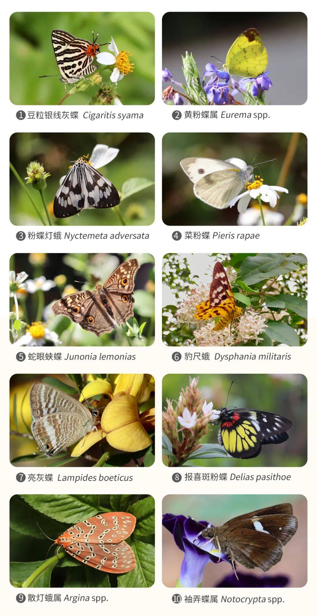 中奖名单公布_留言_@may_@yoyo