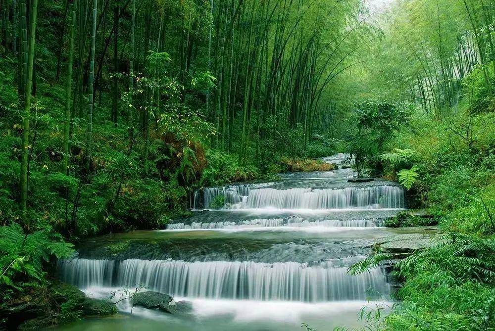 真实山水风景图片竹林图片