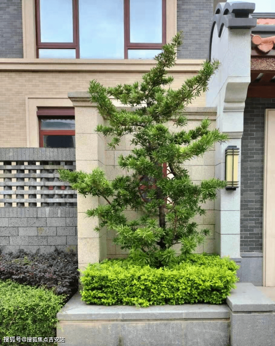 金裕岭南美墅岭南院子【售楼电话400-0755-767】金裕岭南美墅岭南院子