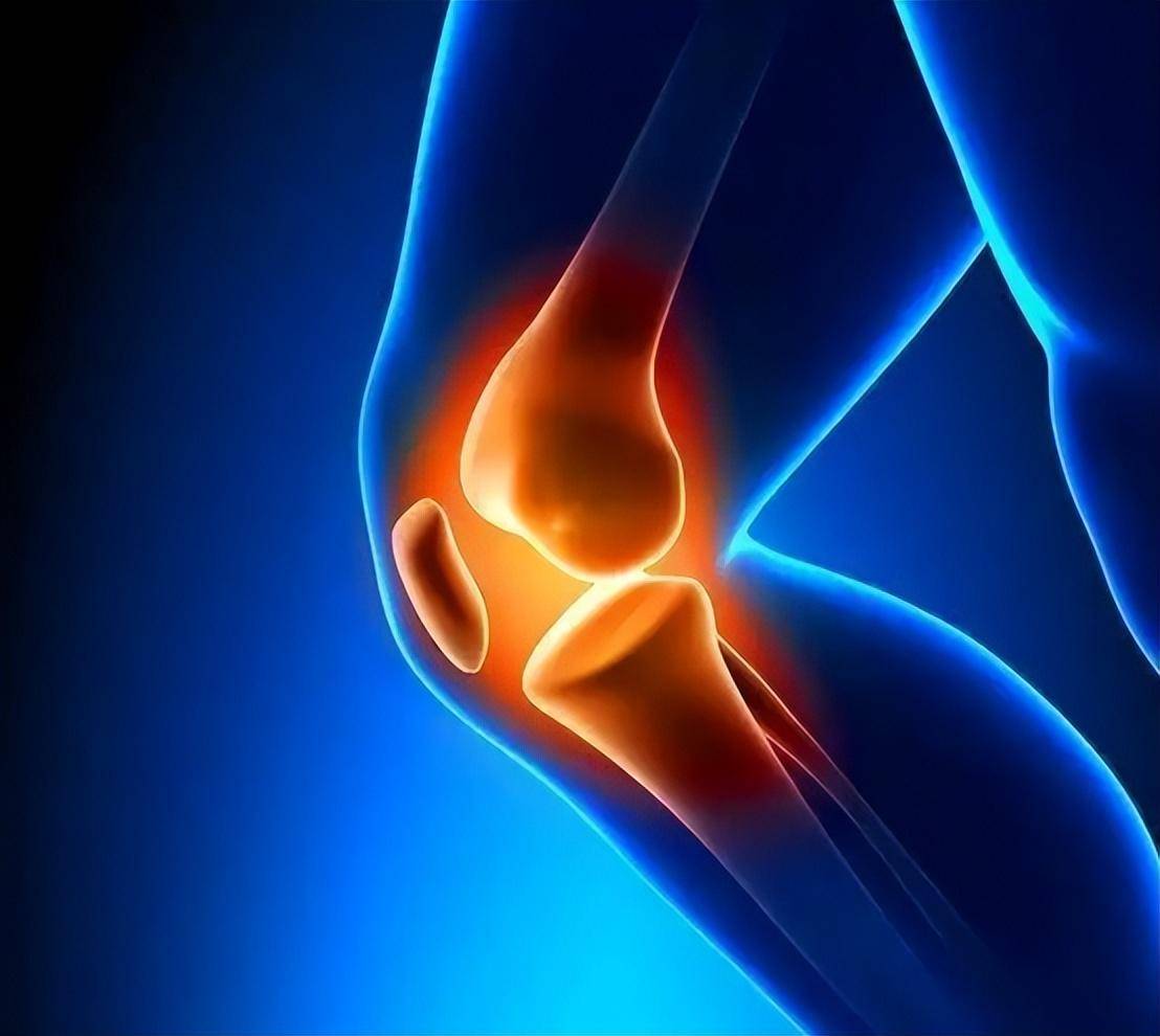 "人老腿先衰"又该如何去缓解_膝关节_软骨_问题