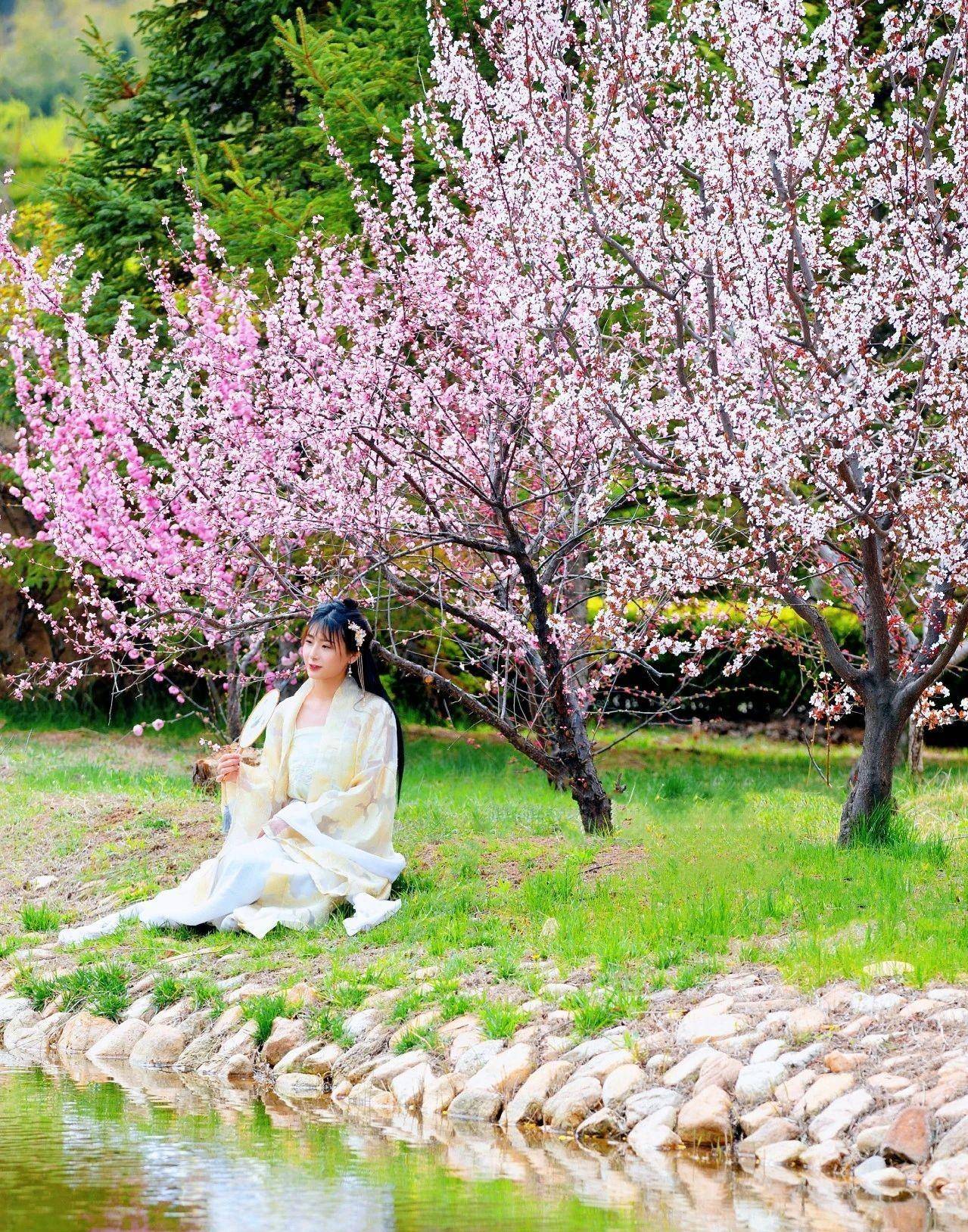 「玩转烟台」春季赏花地