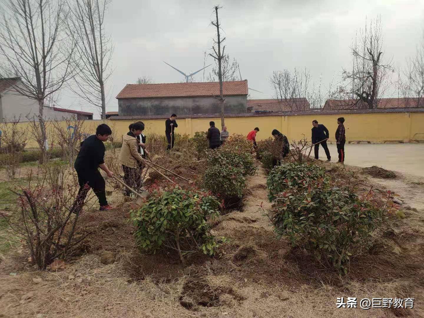 爱心植树为家园添一点绿色-巨野县营里镇中心小学开展下乡植树活动