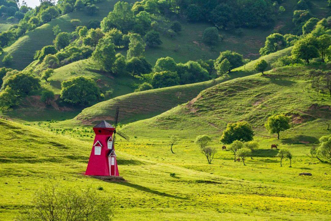 關山草原開園通知_景區_門票_遊客