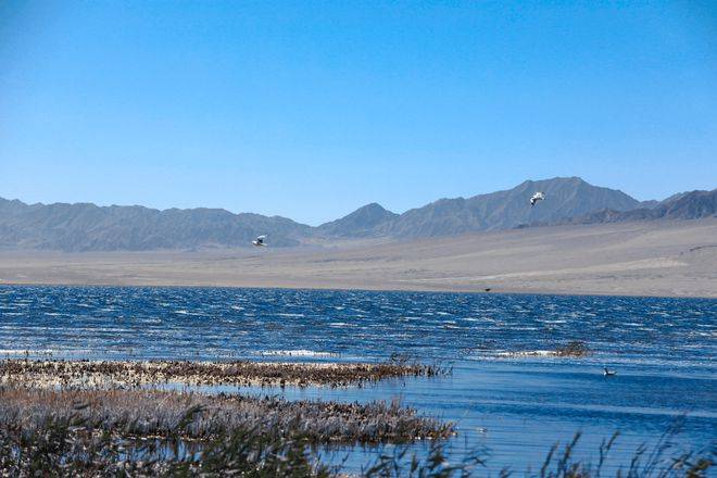 苏干湖位于阿克塞县海子草原西北端,有大苏干湖,小苏干湖两湖_盆地