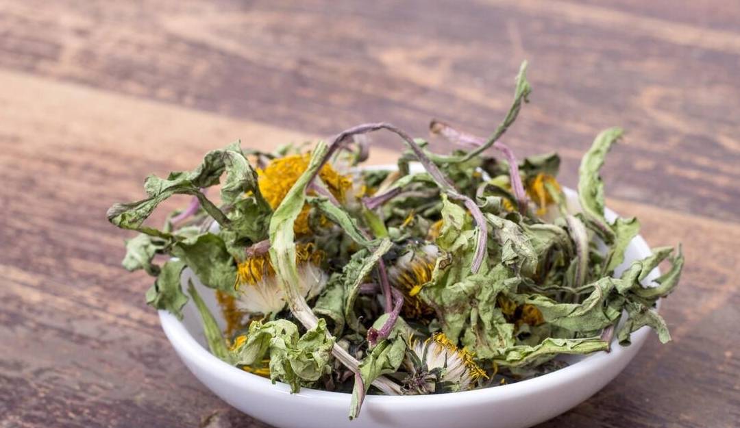 比如上火起疖子了,采点蒲公英外敷一下;咳黄痰的时候,采点鱼腥草凉拌