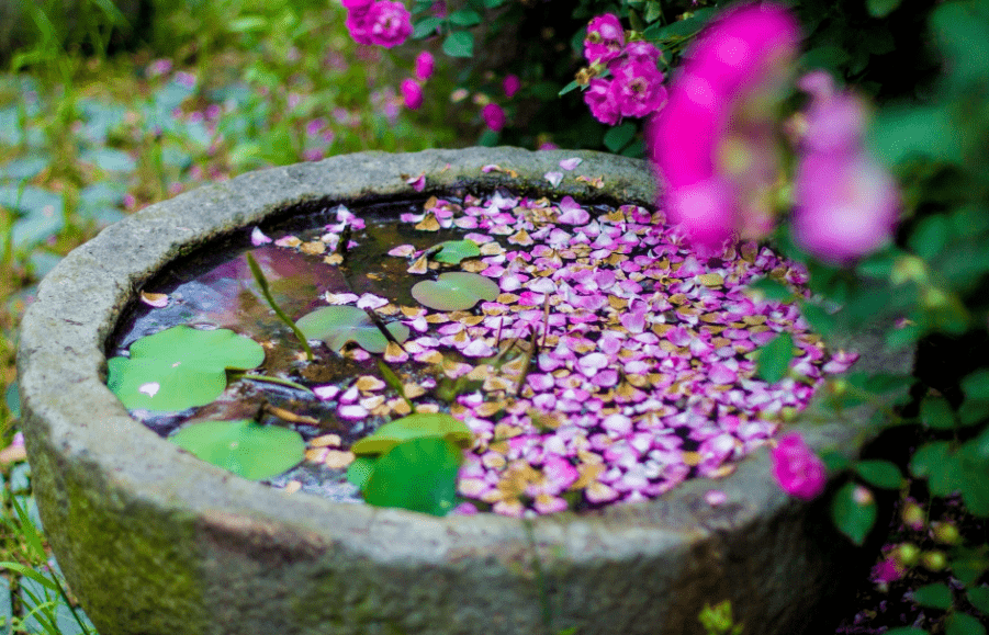 落花时节读华章