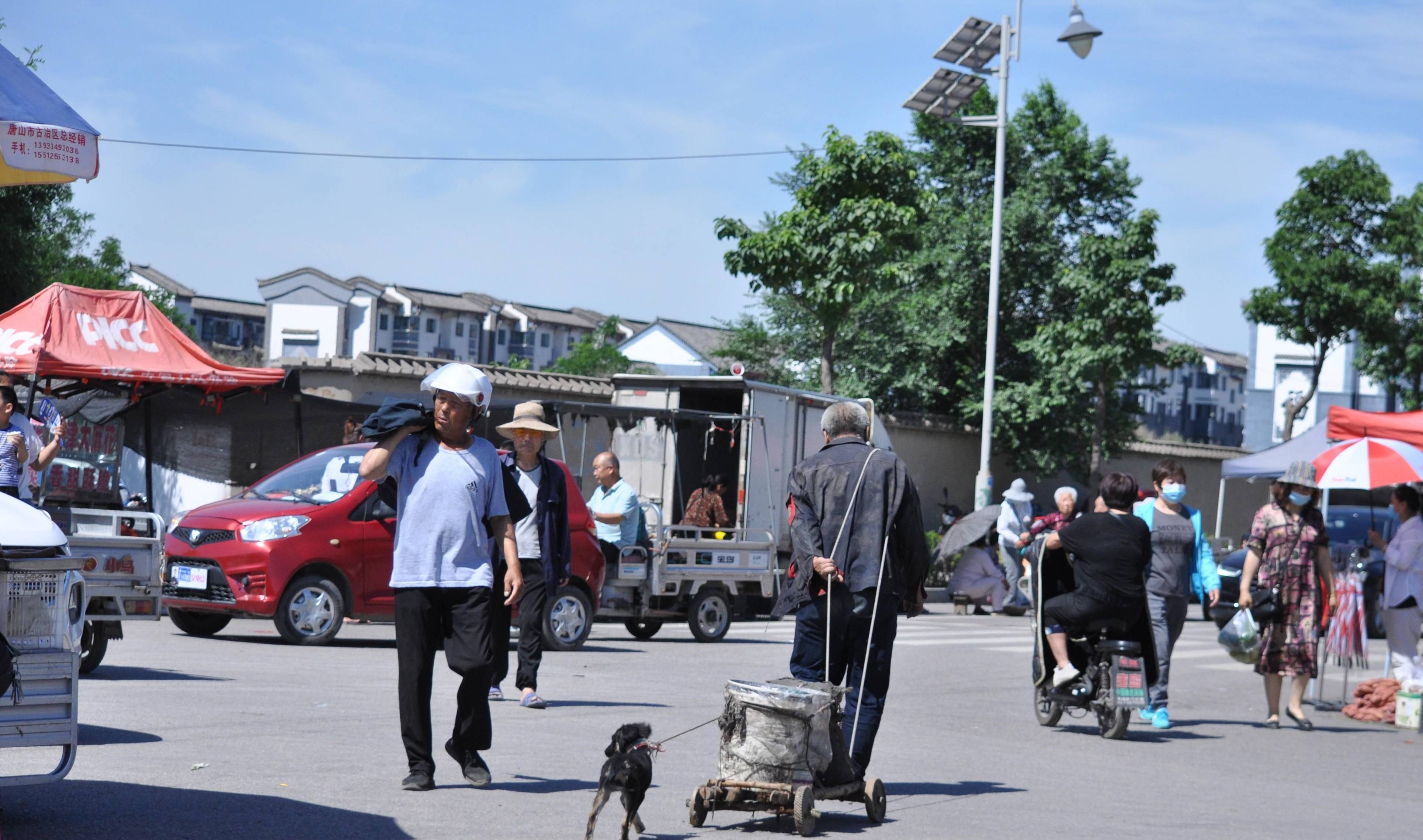 每次去逛滦州大集市,总会遇到一人,一狗,一车的背影,老人带着狗狗每天