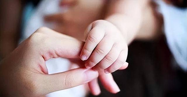 全国“最敢生孩子”的省份是哪里(图1) 全国“最敢生孩子”的省份是哪里(图1)