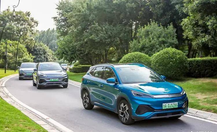 一千公里春节自驾游,高速公路上基本上新能源汽车零零散散当地车牌