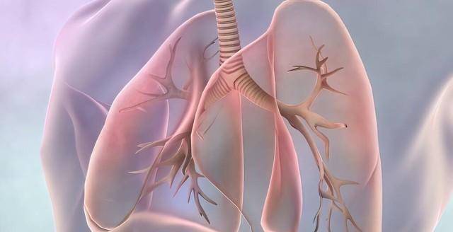 肺癌早期三大表现,咳嗽,血痰,关节痛_粘膜_支气管_肺部