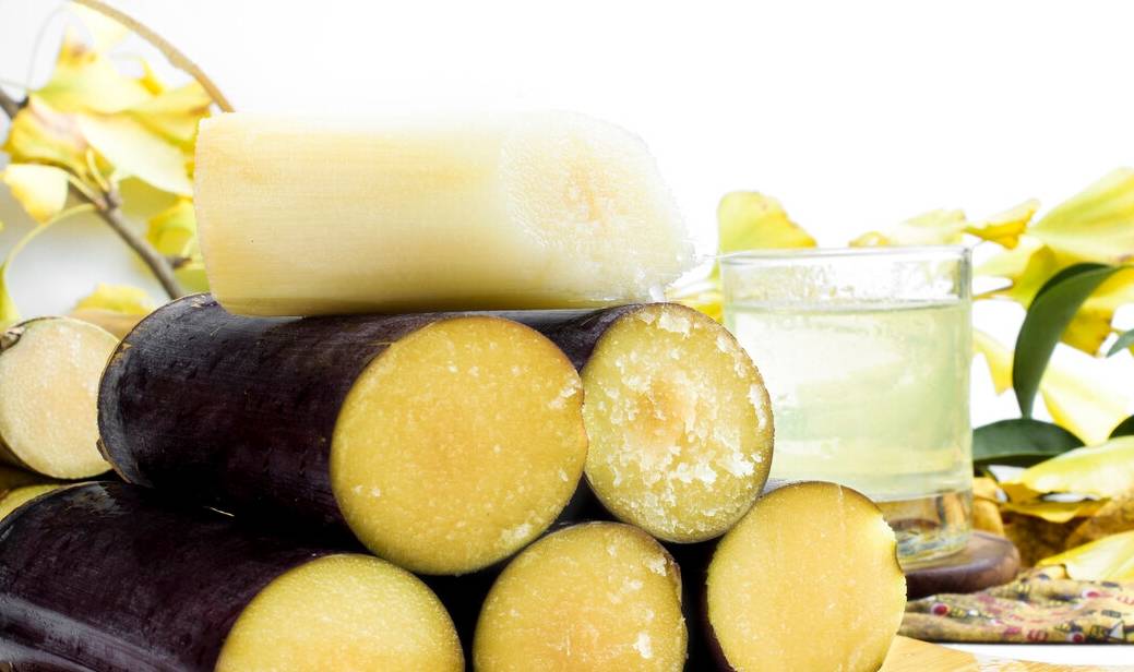 甘蔗甘甜可口,为何有人吃甘蔗中毒,这些甘蔗,你还在吃吗_食用_现象