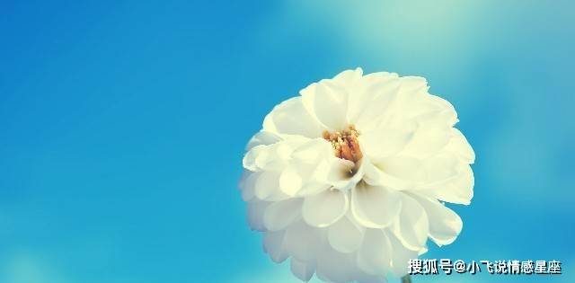 未来10天，3大生肖运势大改变，东山再起（十二生肖排序年龄2023年）