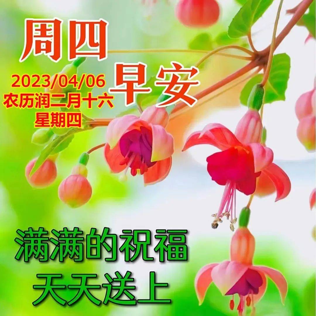 2023年4月6日星期四早上好問候祝福動態表情圖片 週四最新早安問候