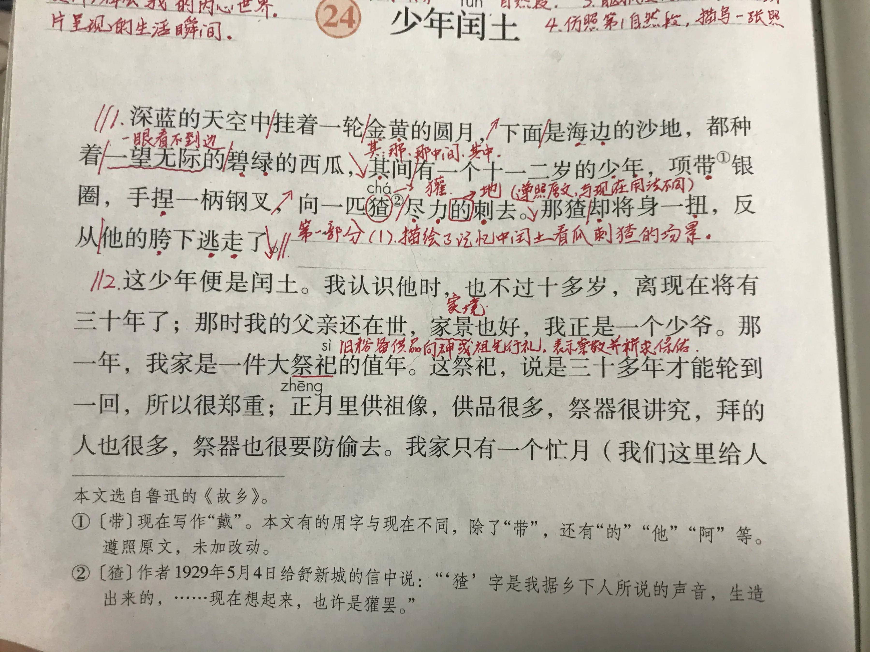 六年语文《少年闰土》,看资深教师讲解全文和课后题,知识点不少