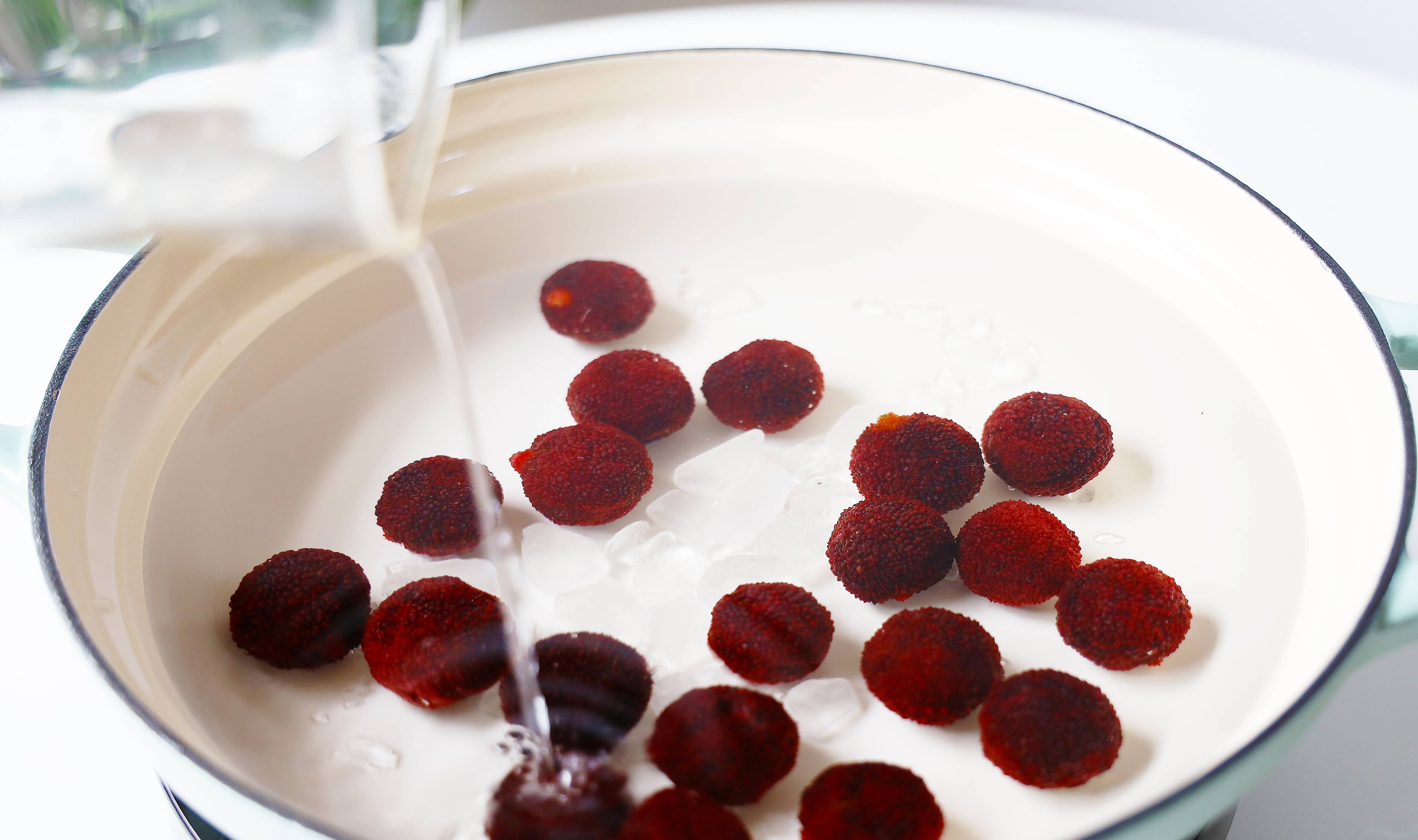 横店爆款杨梅冰,龟龟们别错过,这是属于我们的夏日限定_口感_冰箱